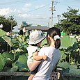 100708_lotusmeyouaco