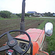 100716_tractorcrow02