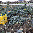 20111219_buro_at_yama