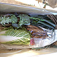 20111224_gift_8kgbox