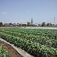 120424_mirai_at_yama