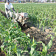 120428_mirai_tyukou