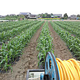 120501_mirai_at_yama03_2