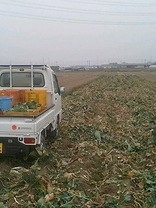 060310last_miyado 060310last_miyado