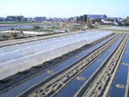 060315tunnel 060315tunnel