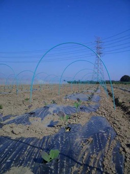 070226iseyama 070226iseyama