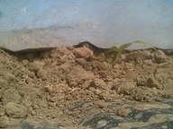 070318kitamirai 070318kitamirai