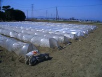 070323kita 070323kita