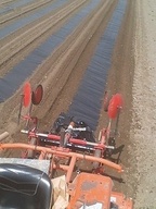 070326yama_04 070326yama_04