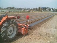 070326yama_05 070326yama_05