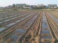 070326yama_06 070326yama_06