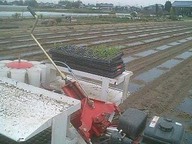 070327yama_teisyoku 070327yama_teisyoku