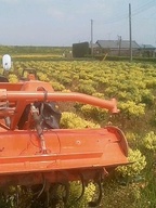 070409eichan01 070409eichan01