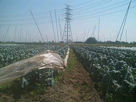 070430ise_02 070430ise_02