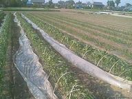 070504yama 070504yama