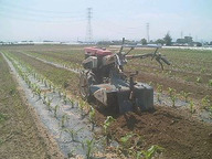 070504yama_chukou 070504yama_chukou