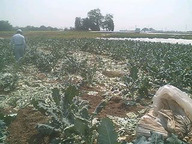 070508_ise01 070508_ise01