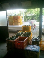 070509_buro 070509_buro