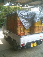 070515_buro_syuukaku