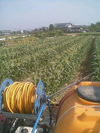 070522_yama_boujo 070522_yama_boujo