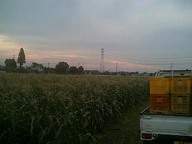 070624_yama_asayake02