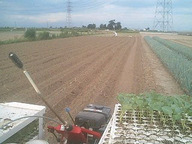 070817_higashi_teisyoku01