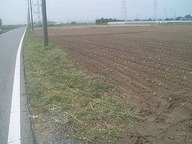 070824_nishi_kusakari