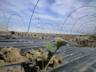 080219_ise_buro_ue01