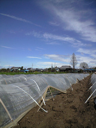 080411_kyoukai_mirai 080411_kyoukai_mirai