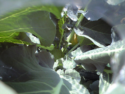 080411ise_buro 080411ise_buro