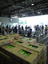 080609_mirai_mezoroi