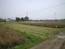 080711_kyoukai_kari01