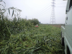 080718_higashi_cut02