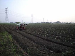 080905_minami 080905_minami