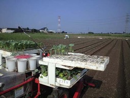 080905_yokoze01 080905_yokoze01