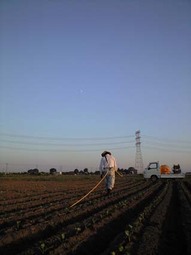 080909_fathermoon 080909_fathermoon