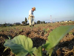 080909_yama_mizu03 080909_yama_mizu03