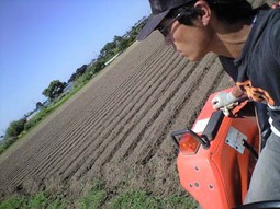 080909_yama_une 080909_yama_une