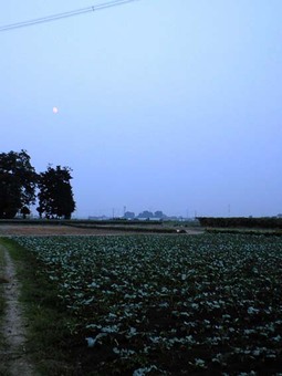 080913_moonburos 080913_moonburos