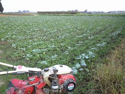 080913_shin1_before 080913_shin1_before