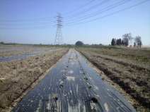 090207_iseyama_buro_teisyoku