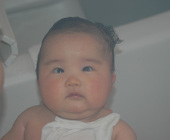 090310_meyoupocha