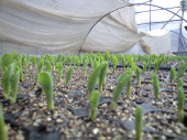 090311_miraino2