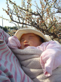 090316_osanpo_meyou