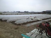090322_yama02