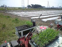 090408_minami_mirai02