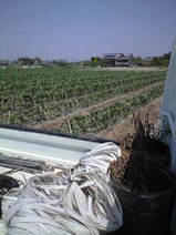090430_yama_open02