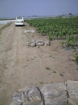 090502_yama_kataduke