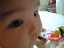 090628_meyou_closeup