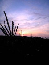 090629_sunrise_mirai